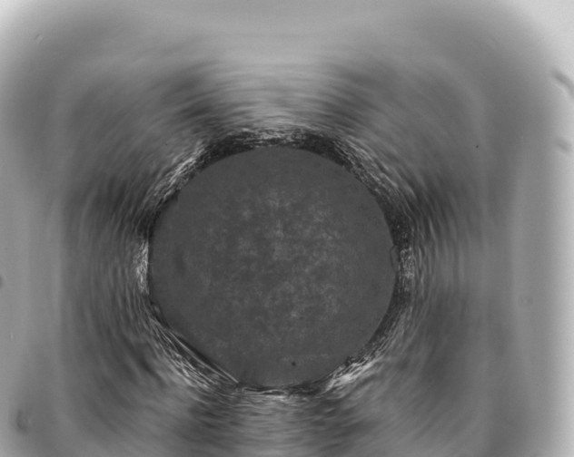 X0000095110916200712141148