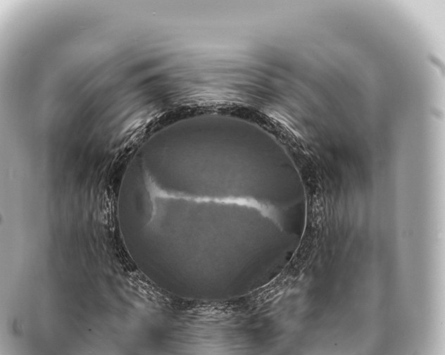 X0000095110917200712141148