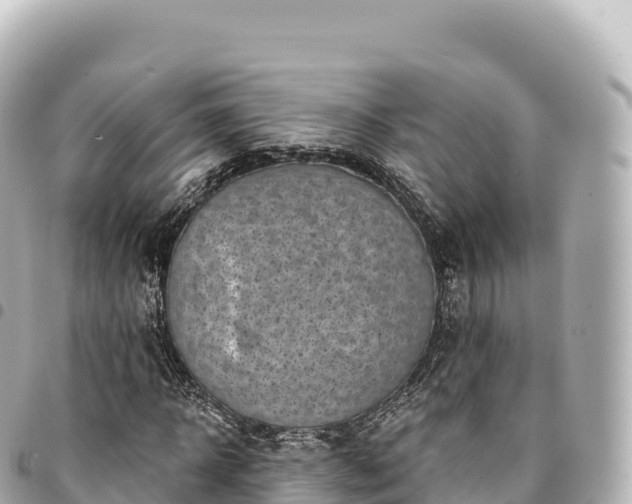 X0000095110918200712141148