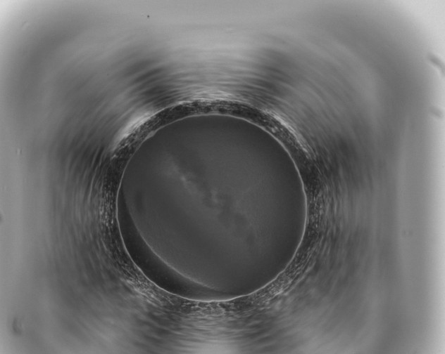 X0000095110919200712141148