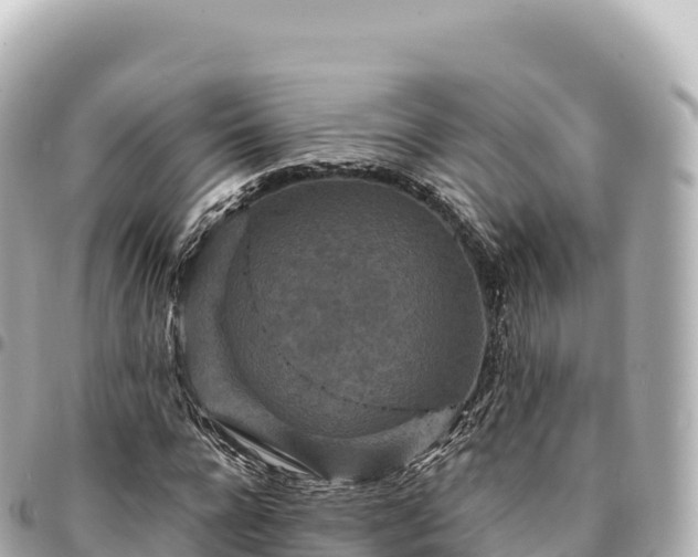 X0000095110920200712141148