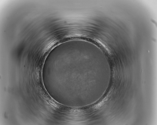 X0000095110921200712141148