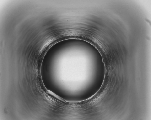 X0000095110922200712141148