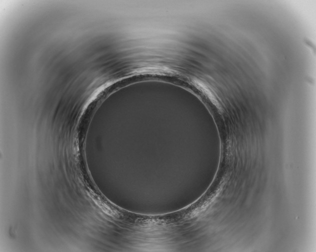 X0000095110923200712141148