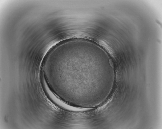 X0000095110924200712141148