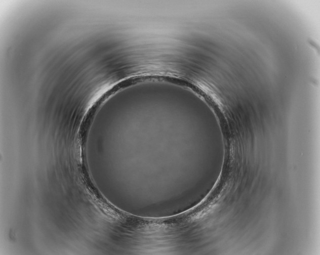 X0000095110925200712141148