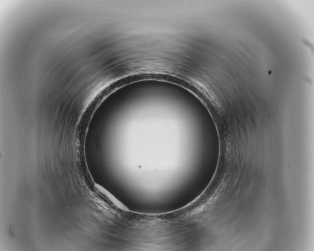 X0000095110926200712141148