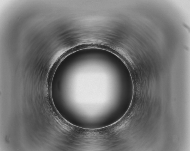 X0000095110927200712141148