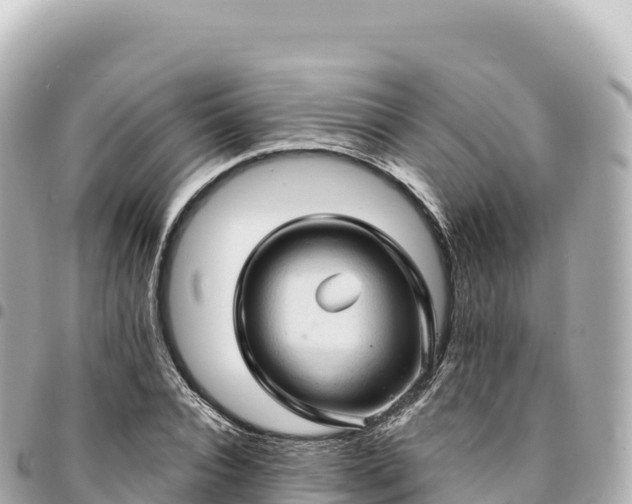 X0000095110928200712141148