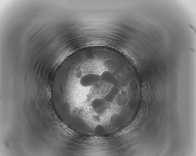 X0000095110929200712141148