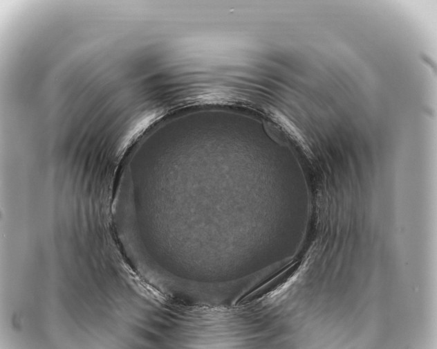 X0000095110930200712141148