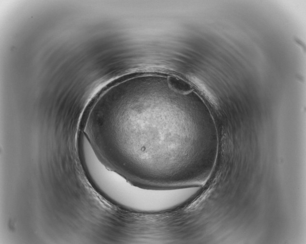 X0000095110932200712141148