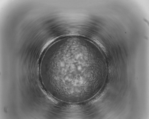 X0000095110933200712141148