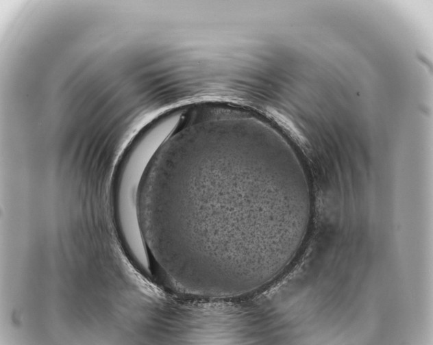 X0000095110934200712141148