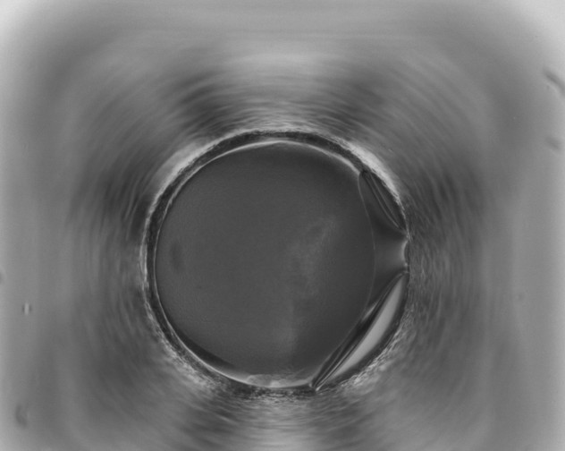 X0000095110935200712141148