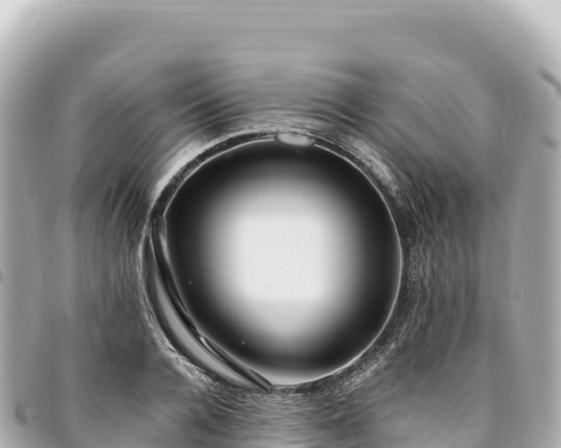 X0000095110936200712141148