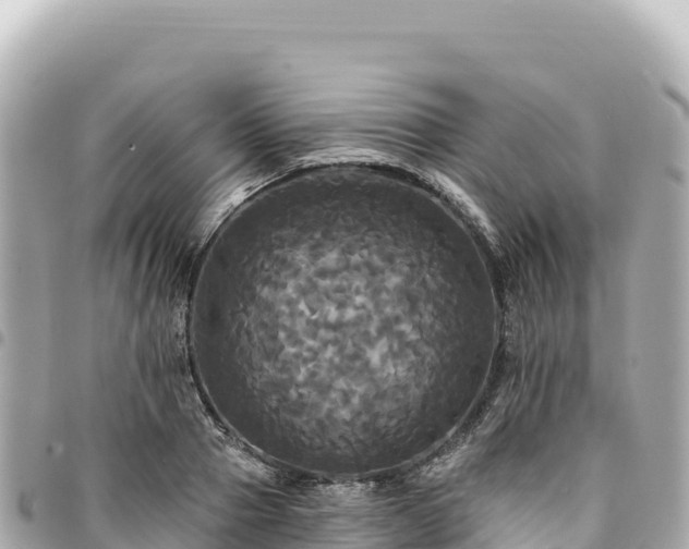 X0000095110937200712141148