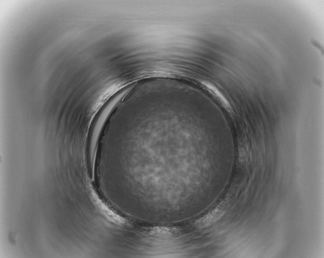 X0000095110938200712141148