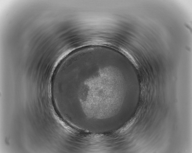 X0000095110939200712141148