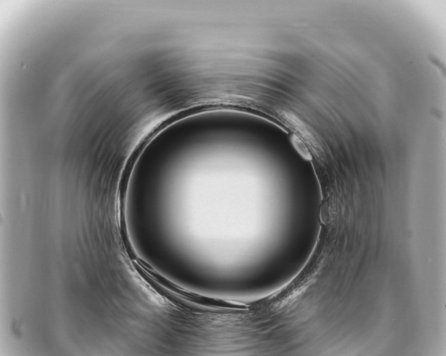 X0000095110940200712141148