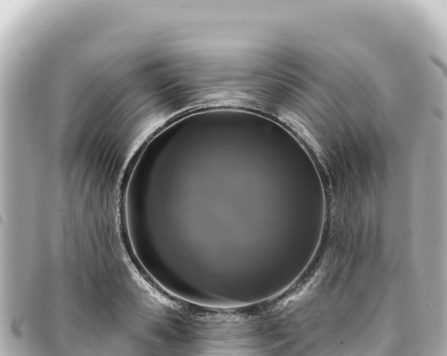 X0000095110941200712141148