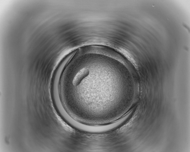 X0000095110942200712141148