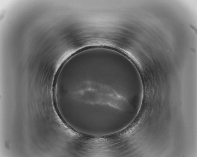 X0000095110943200712141148