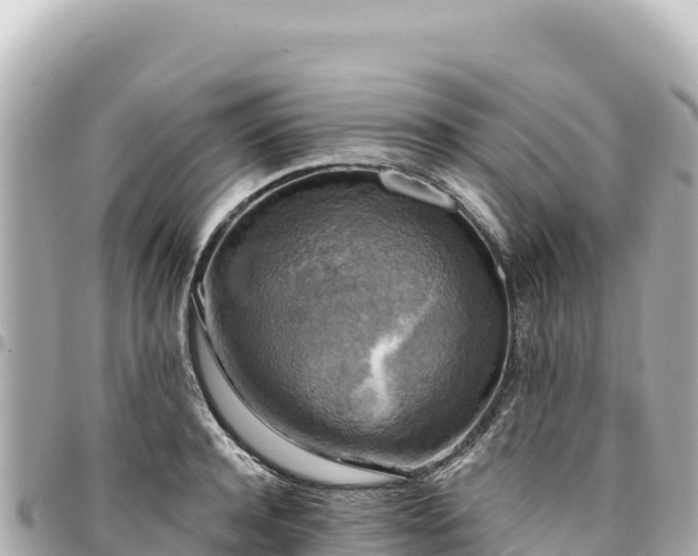 X0000095110944200712141148