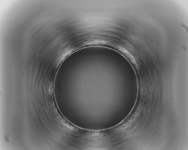 X0000095110945200712141148