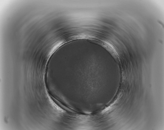 X0000095110946200712141148