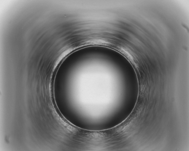 X0000095110947200712141148