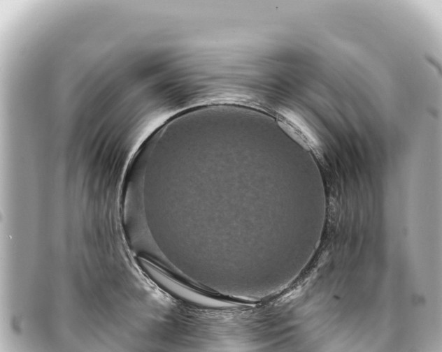 X0000095110948200712141148