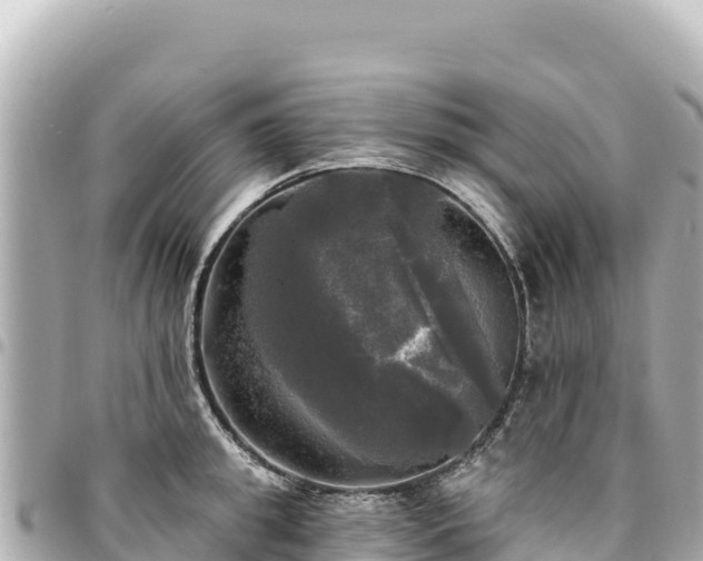 X0000095110949200712141149