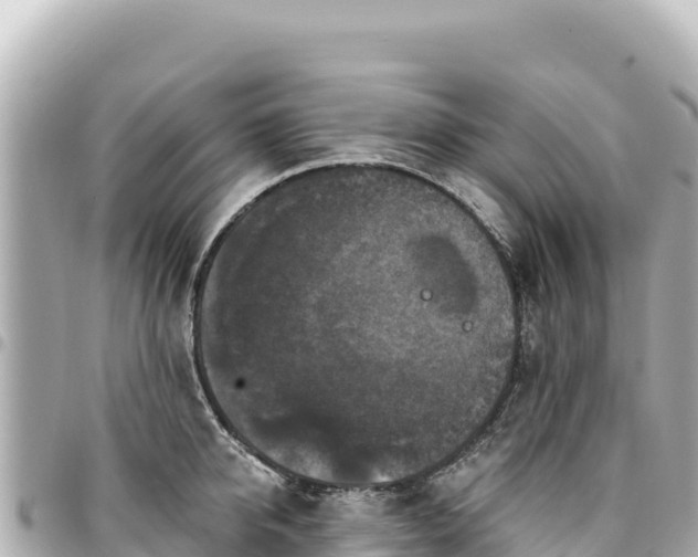 X0000095110950200712141149