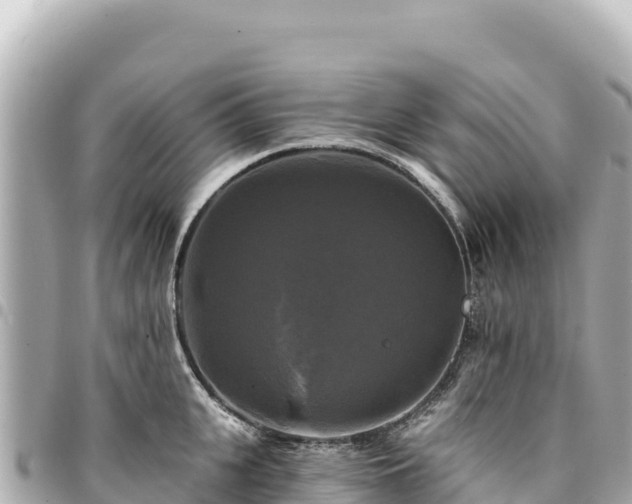 X0000095110951200712141149