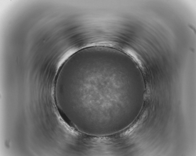 X0000095110952200712141149