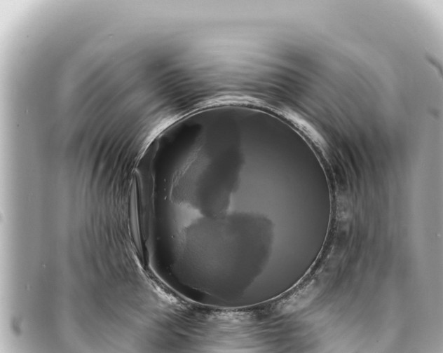 X0000095110953200712141149