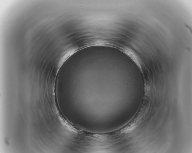 X0000095110954200712141149