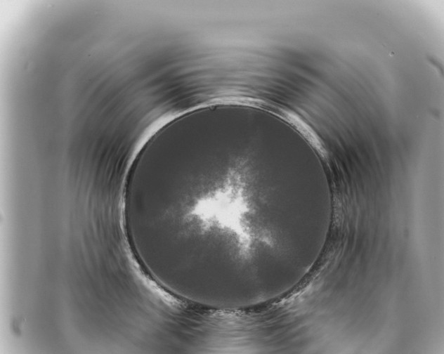 X0000095110955200712141149