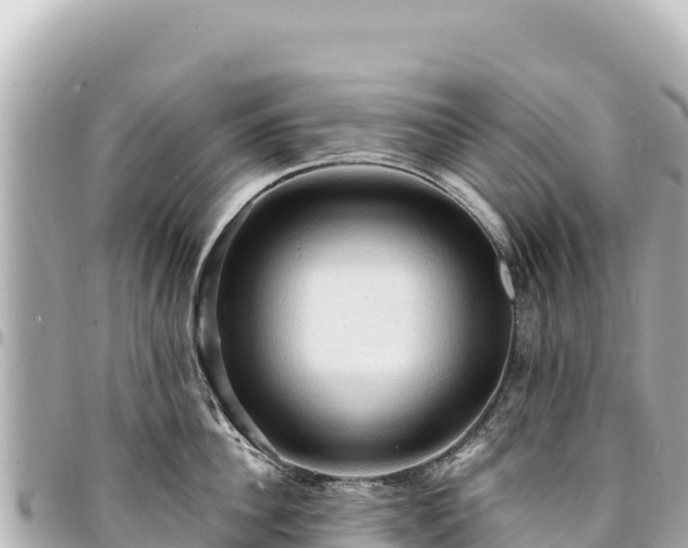 X0000095110956200712141149