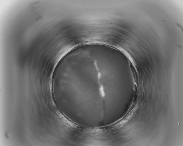 X0000095110957200712141149