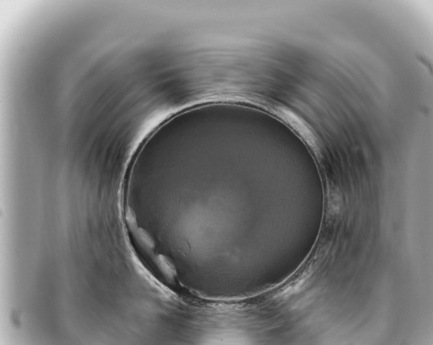 X0000095110958200712141149