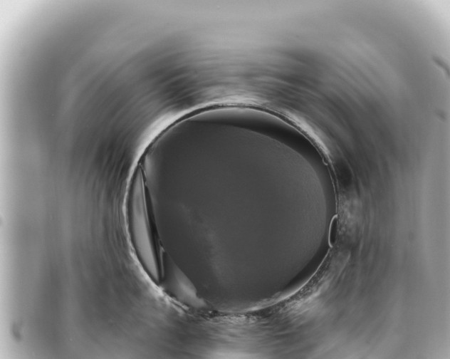 X0000095110959200712141149