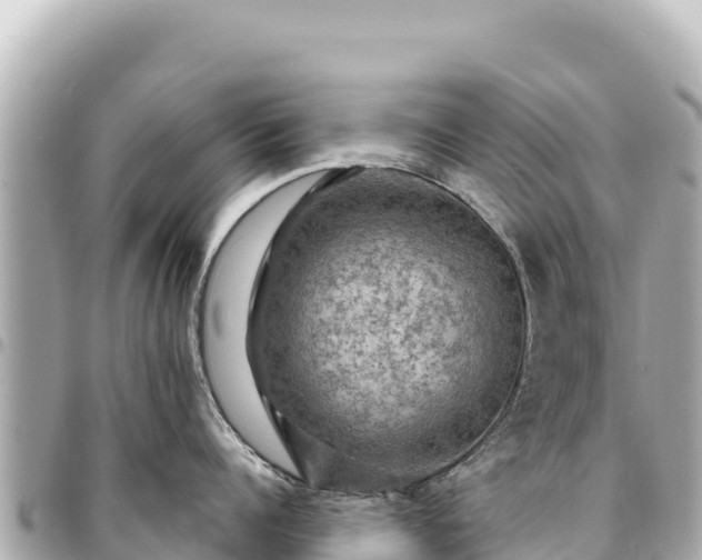 X0000095110960200712141149