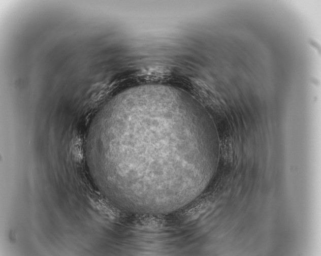 X0000095110962200712141148