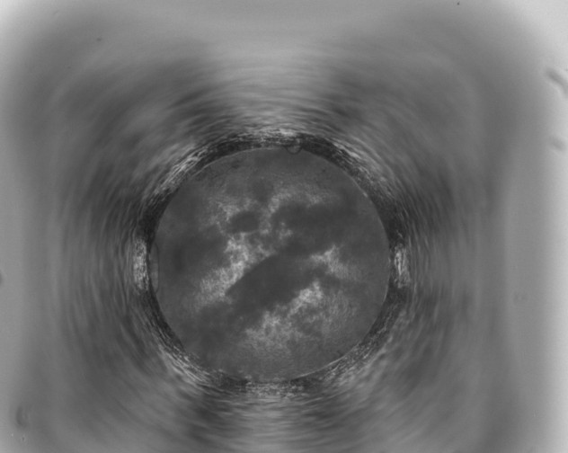 X0000095110963200712141148