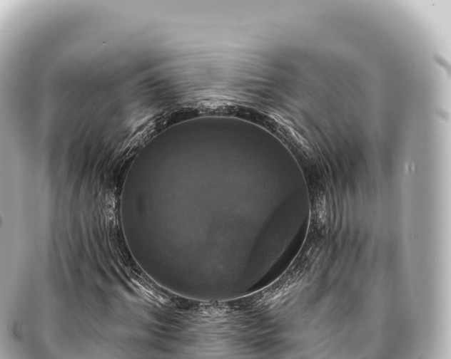 X0000095110964200712141148