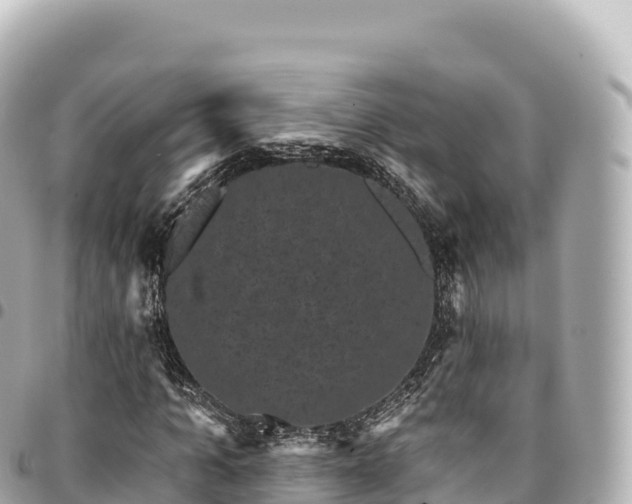 X0000095110965200712141148