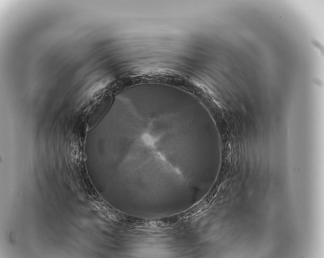 X0000095110966200712141148