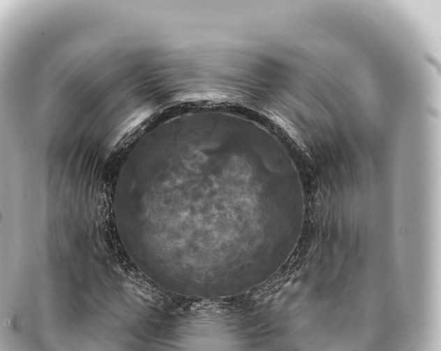 X0000095110967200712141148